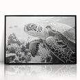 Framed acrylic wall art showcasing a vibrant marine life turtle design, featuring a sleek black frame, perfect for ocean-themed decor and nature lovers.