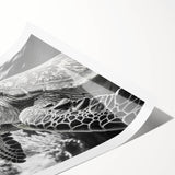 Colorful marine life wall art print showcasing a turtle design, ideal for ocean-themed decor, rolled for easy display and shipping in a protective tube.