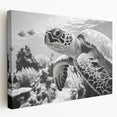 Vibrant marine life wall art featuring a detailed turtle design on stretched canvas, showcasing rich colors and textures, perfect for ocean-themed decor.