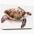 Colorful wall art showcasing a detailed marine life design featuring a turtle, displayed in an acrylic glass frame with pins, perfect for ocean-themed decor.