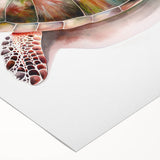 Colorful marine life wall art featuring a vibrant turtle design on rolled canvas, ideal for ocean-themed decor. Perfect addition to any coastal or nature-inspired space.