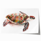 Vibrant marine life wall art print featuring a detailed turtle design, showcasing rich blues and greens, rolled and ready for framing, perfect for ocean lovers.