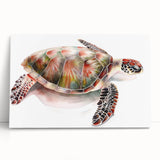 Colorful marine life wall art featuring a serene turtle design on stretched canvas, perfect for beach-themed decor, creating a calming atmosphere in any room.