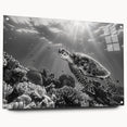 Acrylic glass wall art showcasing a vibrant marine turtle design, displayed in a side view with stylish pins, perfect for ocean-themed decor.