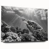 Acrylic wall art featuring a vibrant marine life design with a turtle, showcasing intricate details and a sleek side view, perfect for ocean-themed decor.