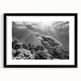 Black-framed wall art featuring a colorful marine life design with a turtle, showcasing vibrant blues and greens, perfect for ocean-themed decor.