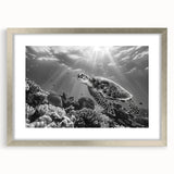 Framed wall art featuring a stunning marine life design with a turtle motif, elegantly displayed in a silver frame with a mat, perfect for ocean-themed decor.