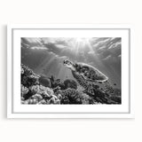 White-framed wall art featuring a vibrant marine life turtle design, showcasing detailed ocean elements, perfect for enhancing coastal-themed decor.