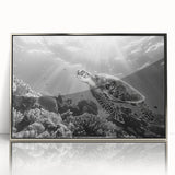 Framed acrylic wall art showcasing a vibrant marine life turtle design, accented with a sleek silver frame, perfect for ocean-themed decor.