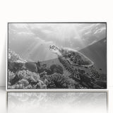 Framed acrylic wall art featuring a vibrant marine life turtle design, showcasing intricate details and a white frame, perfect for ocean-themed decor.