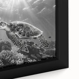 Close-up of a vibrant marine life wall art piece featuring a beautifully detailed turtle design on framed canvas, showcasing rich colors and textures ideal for ocean-themed decor.