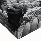 Close-up of a vibrant marine life canvas wall art featuring a detailed turtle design, showcasing intricate textures and vivid colors, perfect for ocean-themed decor.