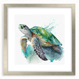 Framed wall art collection showcasing a beautifully designed marine life turtle, featuring a silver frame and mat, perfect for ocean-themed decor.