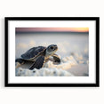 Framed marine life wall art featuring a detailed turtle design, set in a sleek black frame with a mat, perfect for ocean-themed decor. This vibrant artwork adds a coastal touch to any room while highlighting the beauty of sea turtles.