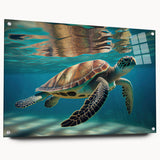 Acrylic wall art featuring a vibrant marine life turtle design, showcasing intricate details and bright colors, perfect for ocean-themed decor.