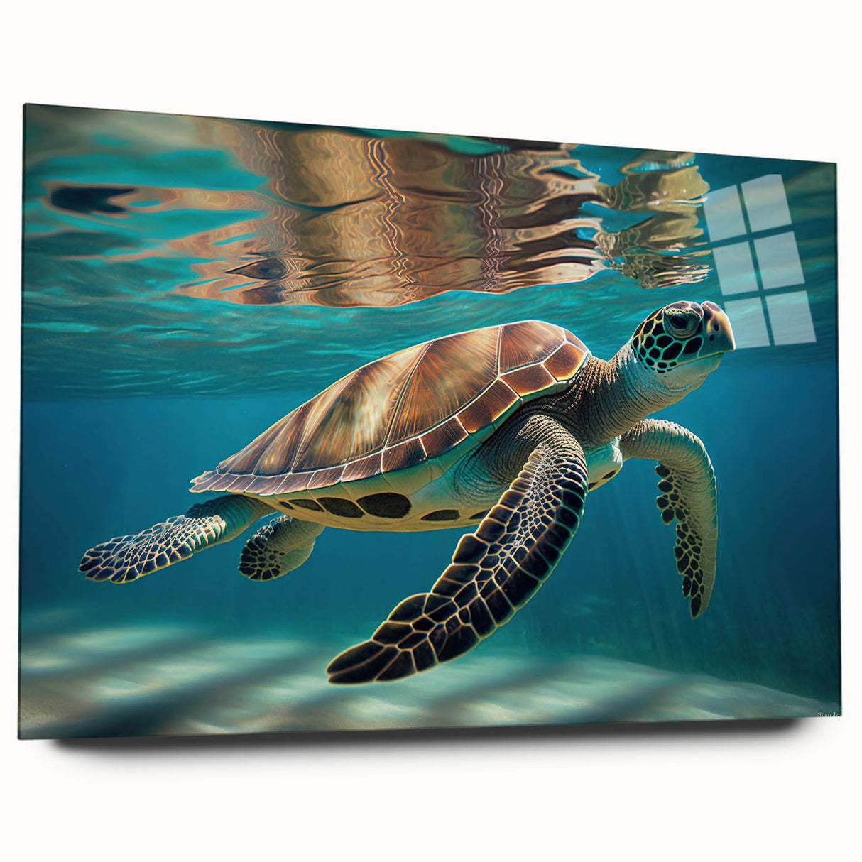 Acrylic glass wall art collection featuring a vibrant marine life turtle design, displayed from the side without pins, showcasing intricate details and vivid colors. Ideal for ocean-themed decor enthusiasts.
