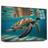 Acrylic glass wall art collection featuring a vibrant marine life turtle design, displayed from the side without pins, showcasing intricate details and vivid colors. Ideal for ocean-themed decor enthusiasts.