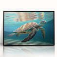 Framed acrylic wall art featuring a vibrant marine life design showcasing a turtle, set against a sleek black frame, perfect for ocean-themed decor.