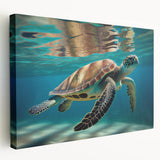 Stretched canvas wall art showcasing a vibrant marine life design featuring a turtle swimming amidst colorful corals, perfect for ocean-themed decor.