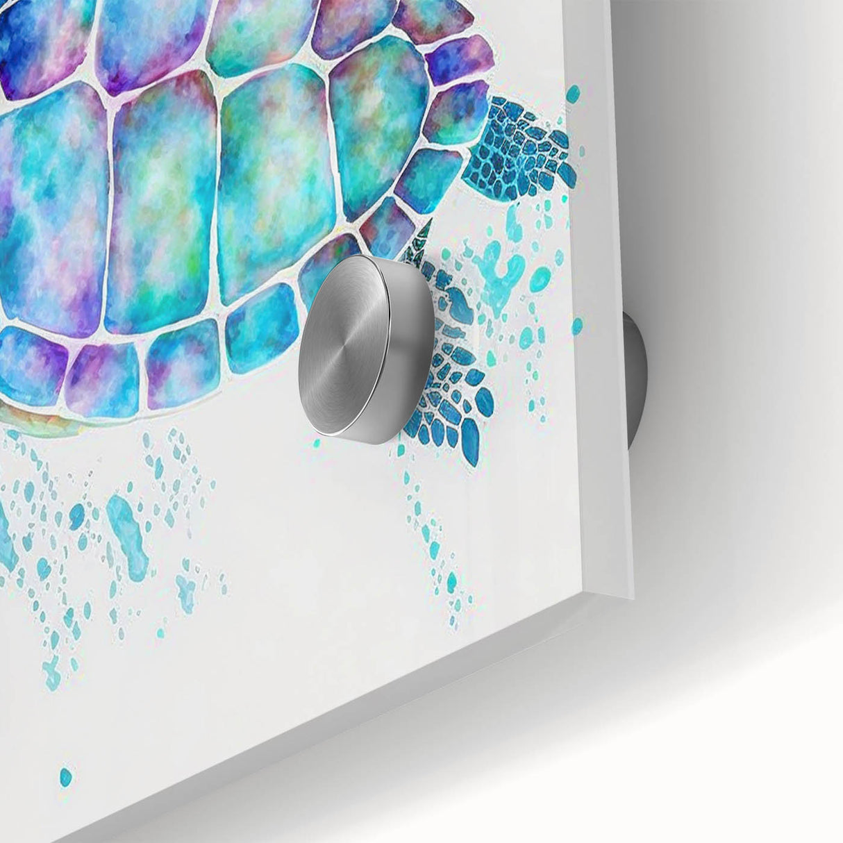 Close-up of a vibrant marine life wall art collection featuring a detailed turtle design printed on acrylic glass, showcasing rich colors and intricate patterns ideal for ocean-themed decor.