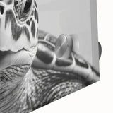 Close-up of a vibrant marine life wall art design featuring a detailed turtle illustration on acrylic glass, showcasing rich colors and intricate textures, ideal for coastal decor.