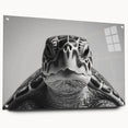 Close-up of a marine life-themed wall art piece showcasing a vibrant turtle design, crafted from acrylic glass with a sleek side view and pin-mounted for display.