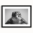 Framed wall art featuring a marine life turtle design, set in a sleek black frame with a mat, showcasing vibrant colors and intricate details, perfect for ocean-themed decor.