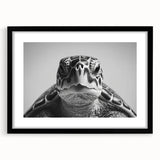 Framed wall art featuring a marine life turtle design, set in a sleek black frame with a mat, showcasing vibrant colors and intricate details, perfect for ocean-themed decor.