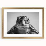 Framed wall art featuring a marine life turtle design, highlighted with a gold frame and mat, ideal for ocean-themed decor and home styling.
