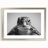 Framed wall art featuring a detailed marine life design of a turtle, elegantly displayed with a silver frame and mat, perfect for ocean-themed home decor.