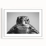 Framed wall art showcasing a vibrant marine life design featuring a turtle, set against a white mat and frame, ideal for ocean-themed decor.