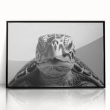 Framed wall art showcasing a vibrant marine life design featuring a turtle, presented in a sleek black frame, ideal for ocean-themed decor enthusiasts.