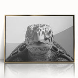 Framed wall art featuring a detailed marine life design of a turtle, elegantly displayed with a gold acrylic front, perfect for ocean-themed decor.