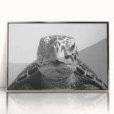 Framed wall art featuring a marine life design with a turtle, crafted with acrylic and a silver frame, showcasing vibrant colors and intricate details. Perfect for ocean-themed decor.