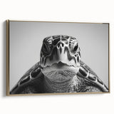 Framed wall art featuring a marine life design of a turtle, showcasing vibrant colors and intricate details against a gold background, perfect for ocean-themed decor.