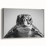 Framed wall art featuring a detailed silver-colored turtle design on canvas, showcasing vibrant marine life with intricate textures, perfect for ocean-themed decor.