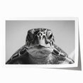 Colorful marine life wall art print showcasing a vibrant turtle design, rolled and ready for display, perfect for ocean-themed decor enthusiasts.