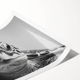 Colorful marine life wall art print showcasing a turtle design, ideal for ocean-themed decor. This rolled print captures vibrant underwater colors and intricate details, perfect for adding a touch of nature to any space.