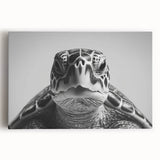 Stretched canvas wall art featuring a vibrant marine life design with a turtle at the center, perfect for ocean-themed decor. Ideal for nature lovers and beach aesthetics.
