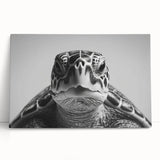 Vibrant marine life wall art featuring a detailed turtle design on stretched canvas, showcasing rich colors and textures, perfect for ocean-themed decor.
