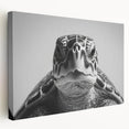 Vibrant marine life wall art design featuring a graceful turtle on a stretched canvas, showcasing intricate details and vivid colors, perfect for ocean-themed decor.