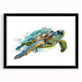 Black-framed wall art featuring a vibrant marine life design with a turtle, perfect for ocean-themed decor. Adds a touch of nature to any room.