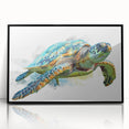 Framed wall art featuring a vibrant marine life turtle design, showcasing intricate details and vivid colors, set in a sleek black frame for an elegant display.