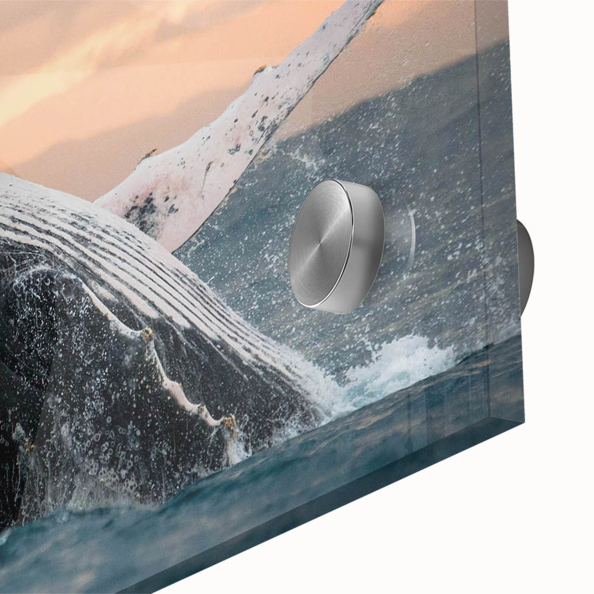 Close-up of a vibrant acrylic glass wall art piece showcasing a majestic whale design, ideal for marine life enthusiasts and ocean-themed decor, highlighting intricate details and colors.