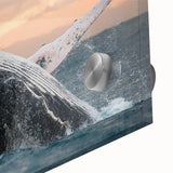 Close-up of a vibrant acrylic glass wall art piece showcasing a majestic whale design, ideal for marine life enthusiasts and ocean-themed decor, highlighting intricate details and colors.
