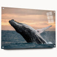Acrylic glass wall art featuring a detailed marine life design of a whale, showcasing vibrant colors and intricate patterns, displayed from a side view with decorative pins.