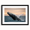 Black-framed wall art featuring a detailed marine life design of a whale, showcasing vibrant colors and intricate patterns, ideal for ocean-themed decor.