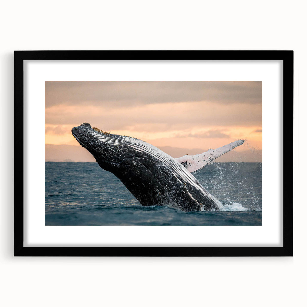 Black-framed wall art featuring a detailed marine life design of a whale, showcasing vibrant colors and intricate patterns, ideal for ocean-themed decor.
