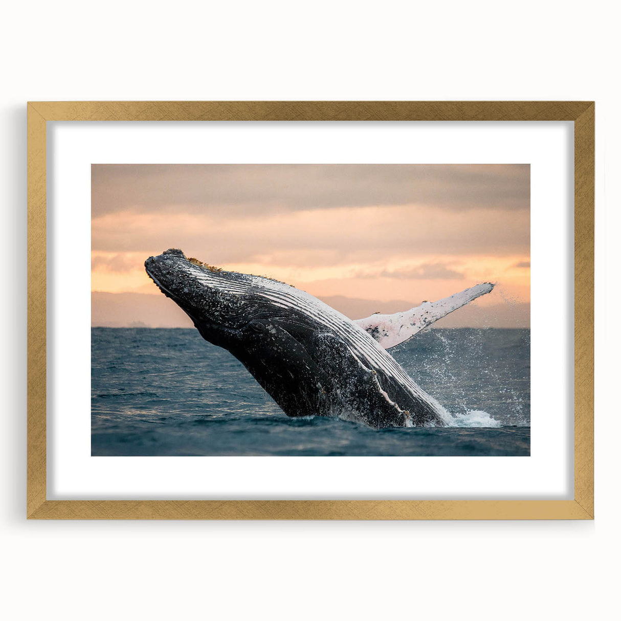 Whale-themed wall art design displayed in a gold frame with a mat, showcasing vibrant colors and intricate marine life details, perfect for ocean lovers' decor.