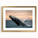 Whale-themed wall art design displayed in a gold frame with a mat, showcasing vibrant colors and intricate marine life details, perfect for ocean lovers' decor.